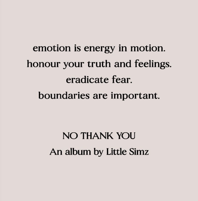 Little Simz new album ‘NO THANK YOU’ Little Simz new album ‘NO THANK YOU’
